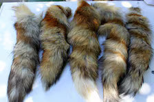 Real Red Fox Fur Tail