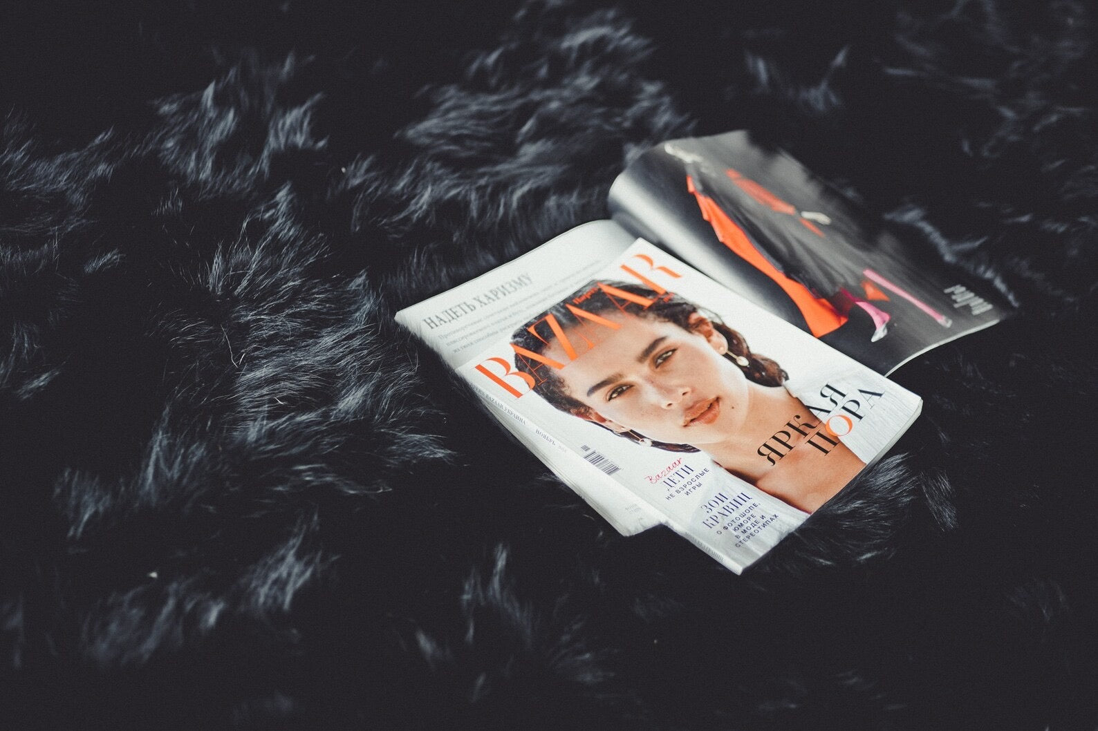 Black Fox Fur Rug