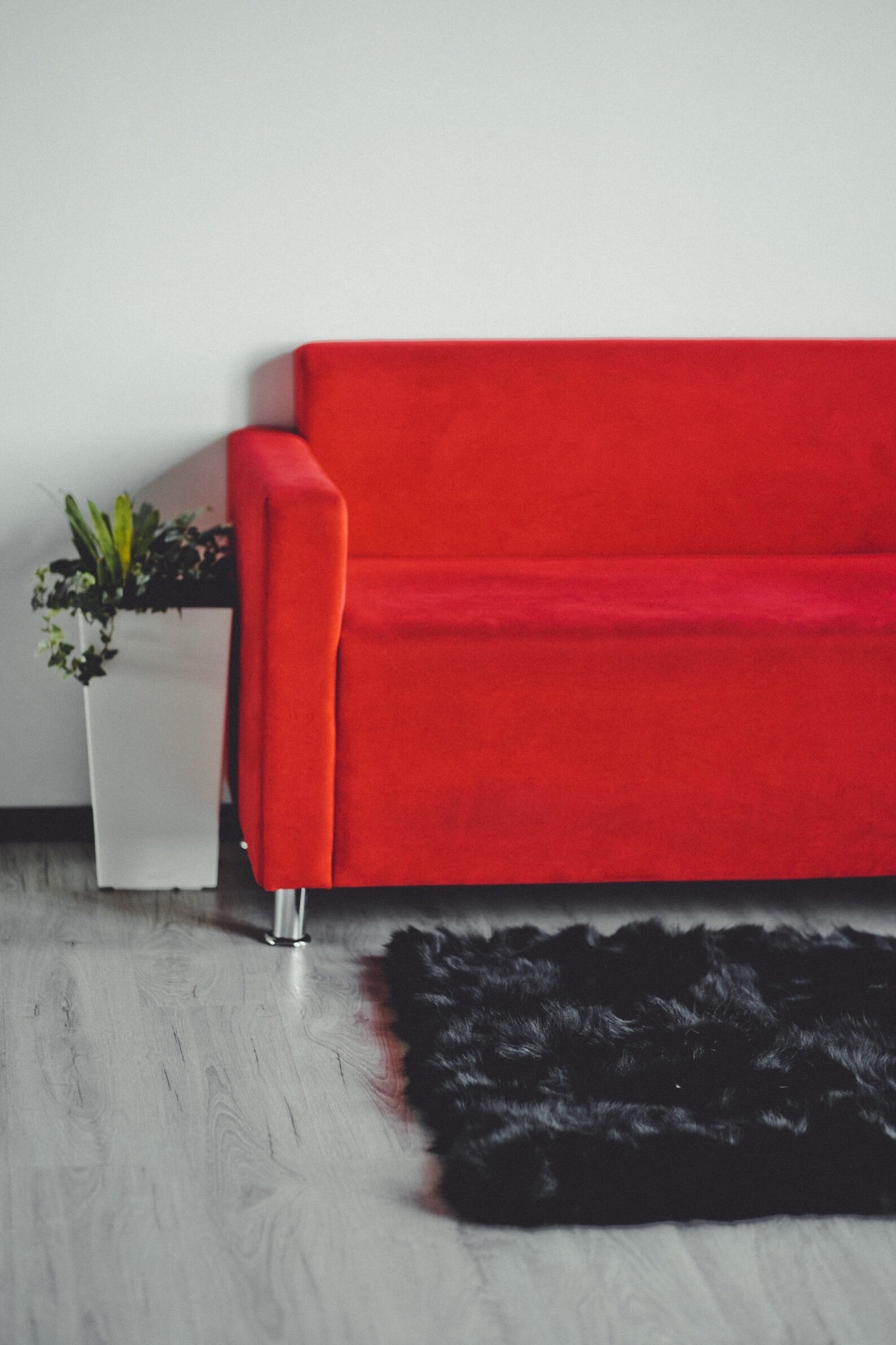 Black Fox Fur Rug