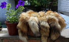 Real Red Fox Fur Tail