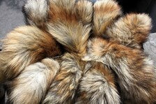 Real Red Fox Fur Tail
