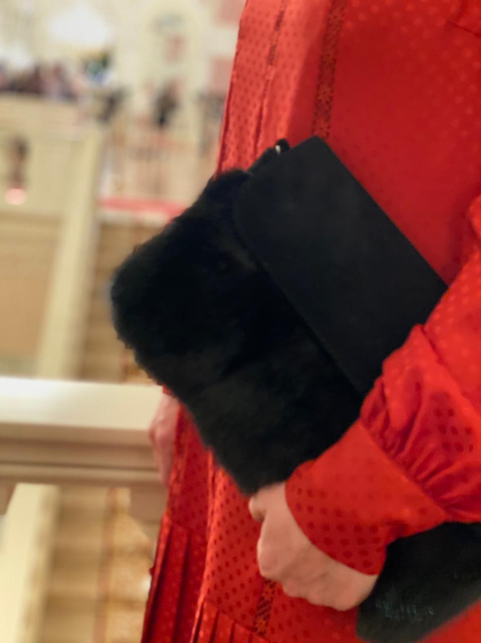 Mink Fur Clutch